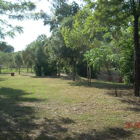 Trentova Camping Park